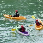 Segmentasi Pasar Psikografis Wisatawan