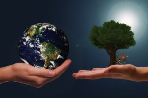 Regenerative Marketing: Definisi, Manfaat & Tantangan
